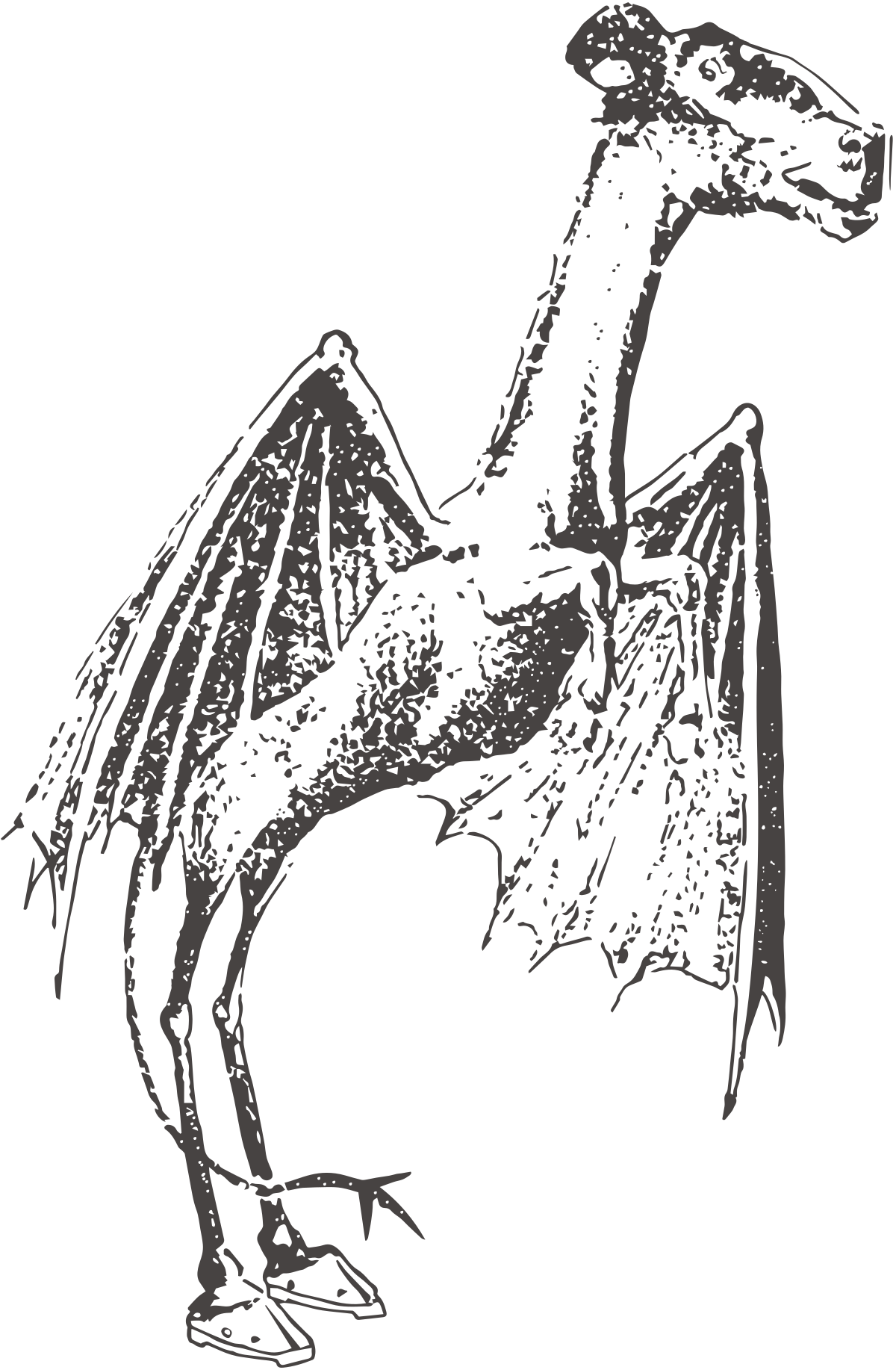 Is the Jersey Devil a genuine threat?